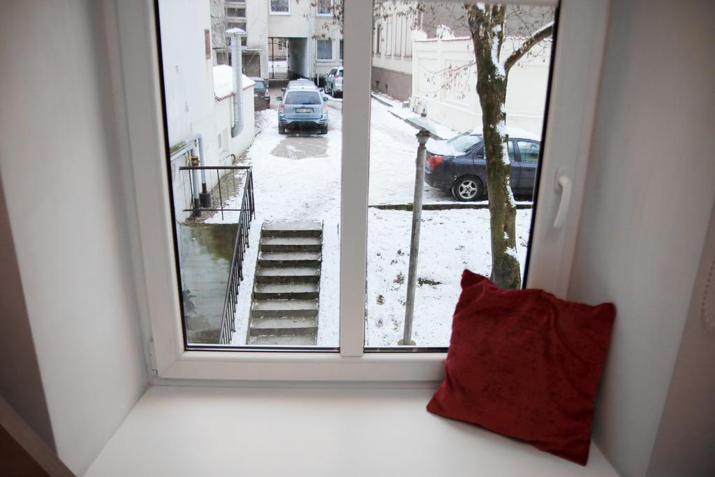 Great Apartment Near Town Hall Wilna Exterior foto